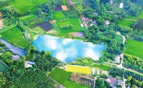 23億負(fù)債壓頂，22年老牌房企申請破產(chǎn)！阜陽房企承壓，四川地產(chǎn)亦現(xiàn)隱憂